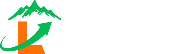 LeadVales Logo
